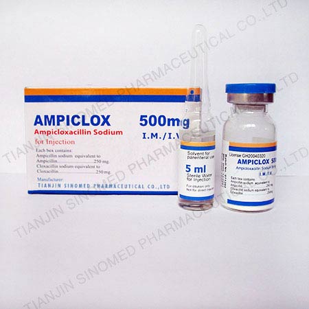 Ampicloxacillin Sodium  powder for Injection