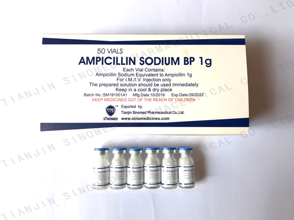 Ampicillin Sodium powder for Injection