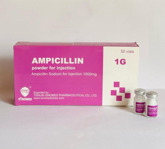 Ampicillin Sodium for Injection 1g