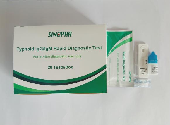 Typhoid IgG/IgM Rapid Diagnostic Test